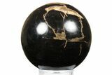 Petrified Wood (Tropical Hardwood) Sphere - Indonesia #266115-1